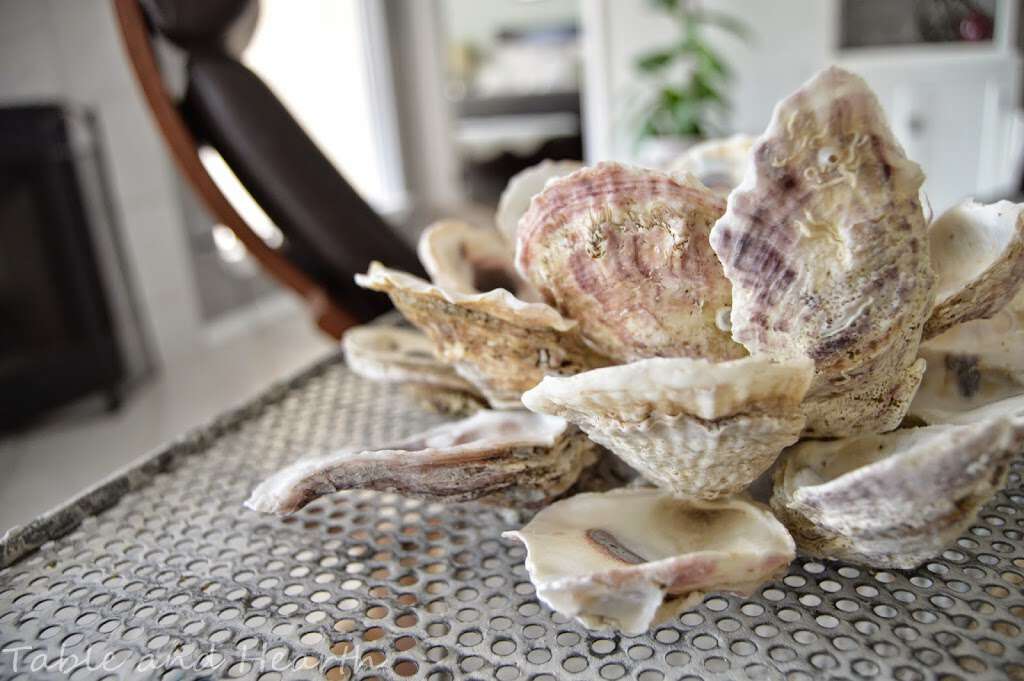 How To Make A Beautiful Oyster Shell Mirror