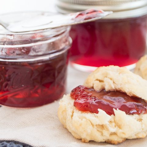 This tangy and sweet American beautyberry jelly makes good use of the berries from this southern US native shrub!