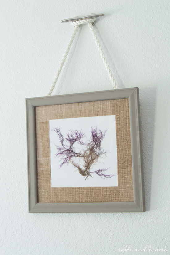 Such a pretty way to hang pictures! DIY Nautical Rope Picture Hangers